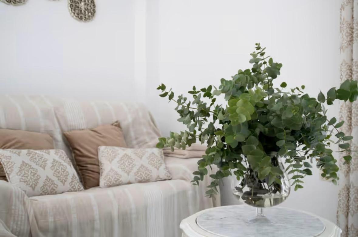 Apartamento Cataleya Ронда Екстер'єр фото